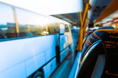 Coach Tours